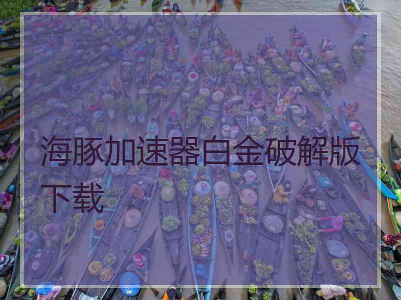 海豚加速器白金破解版下载