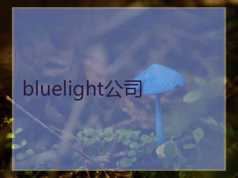bluelight公司