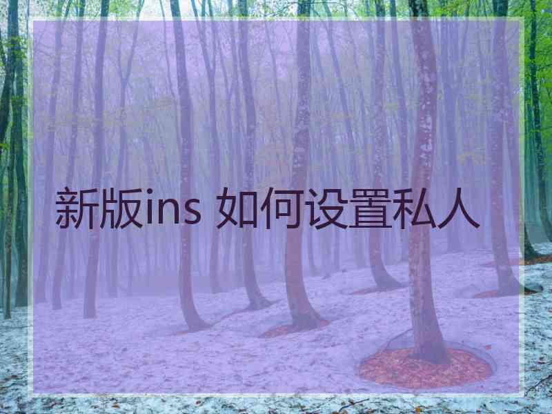 新版ins 如何设置私人