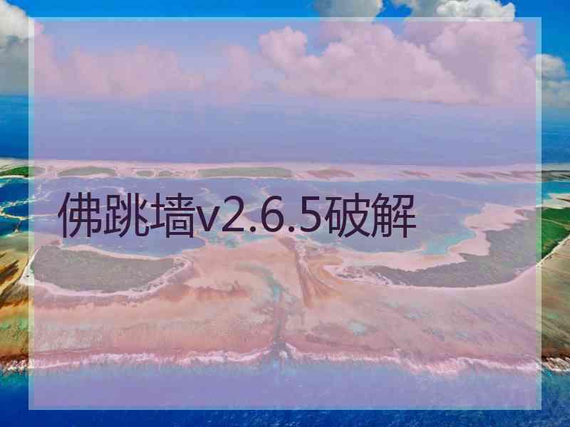 佛跳墙v2.6.5破解