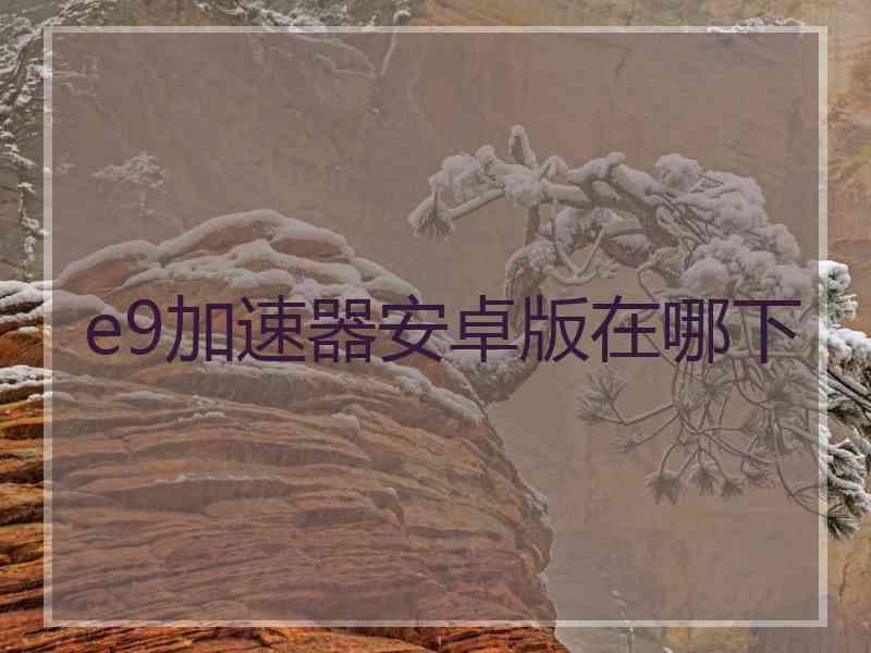 e9加速器安卓版在哪下
