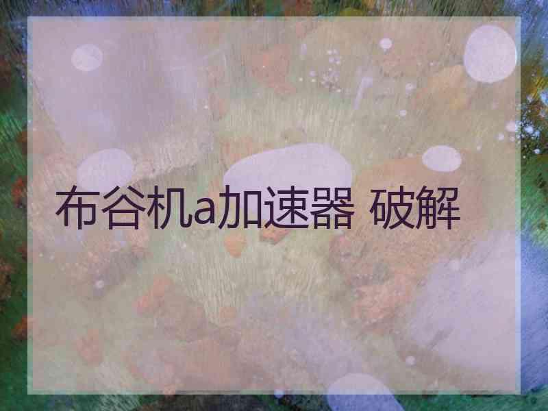 布谷机a加速器 破解
