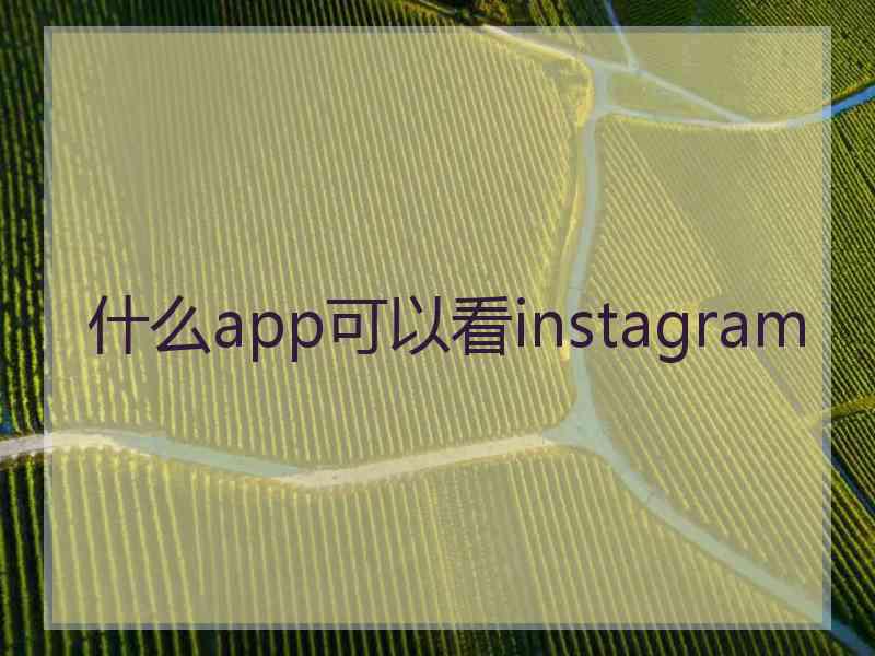 什么app可以看instagram