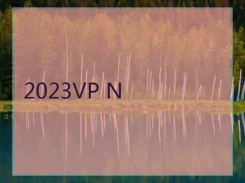 2023VP N