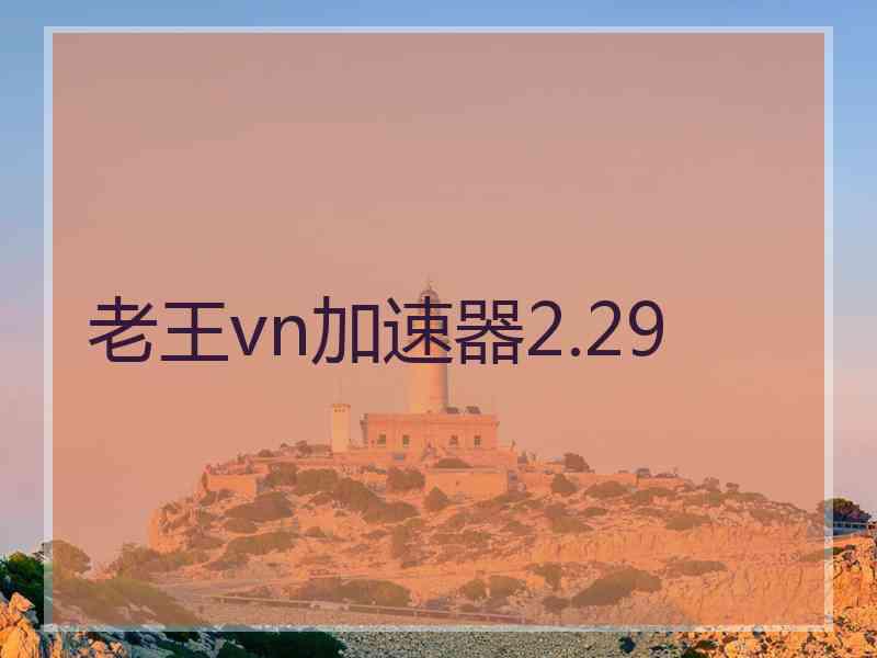 老王vn加速器2.29