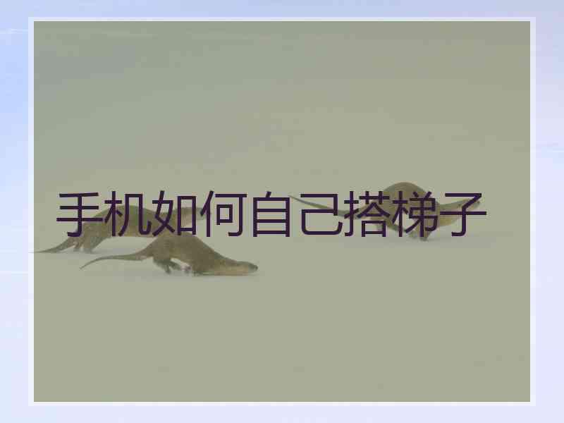 手机如何自己搭梯子