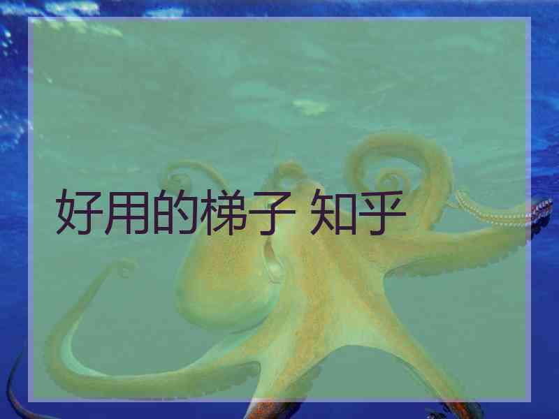 好用的梯子 知乎
