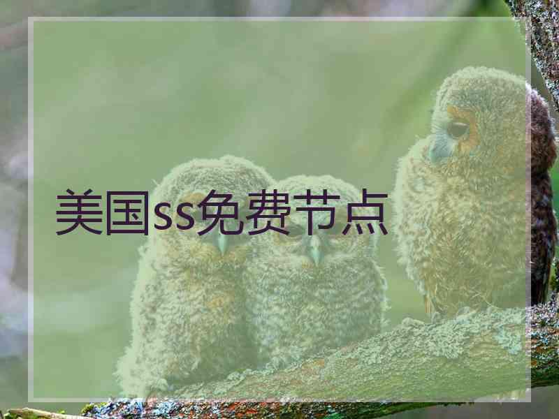 美国ss免费节点