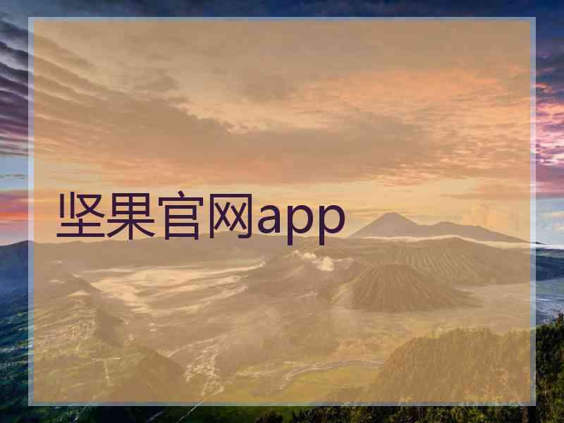 坚果官网app