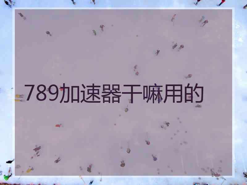 789加速器干嘛用的