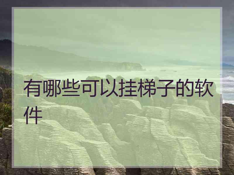 有哪些可以挂梯子的软件