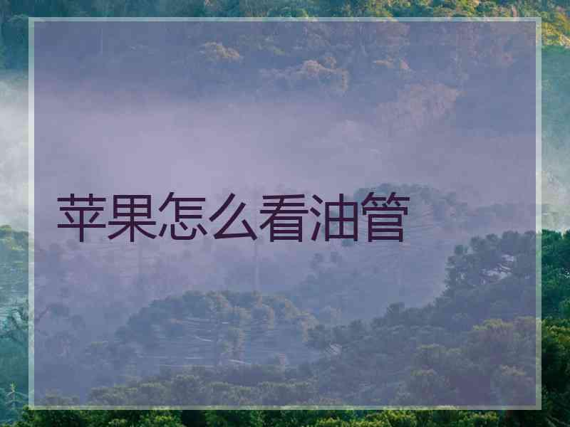 苹果怎么看油管