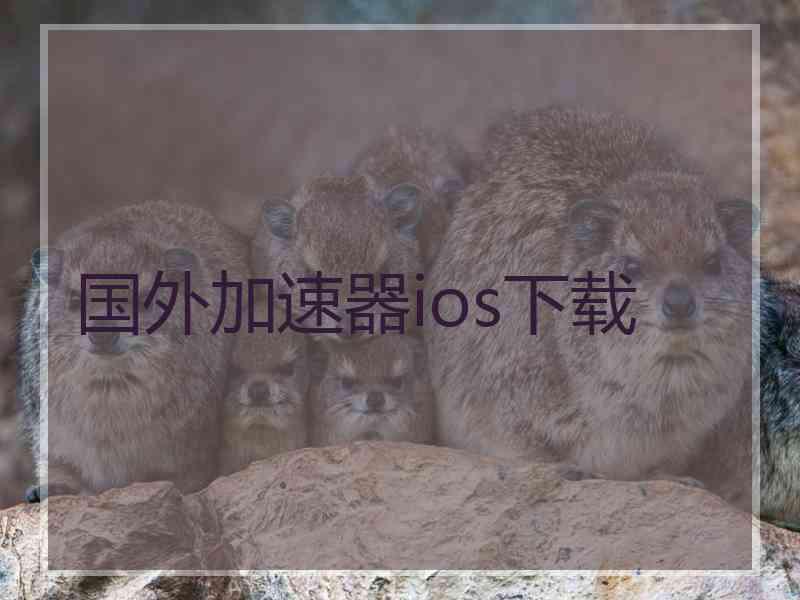 国外加速器ios下载