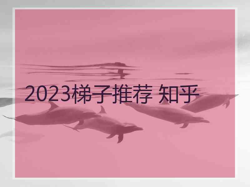2023梯子推荐 知乎