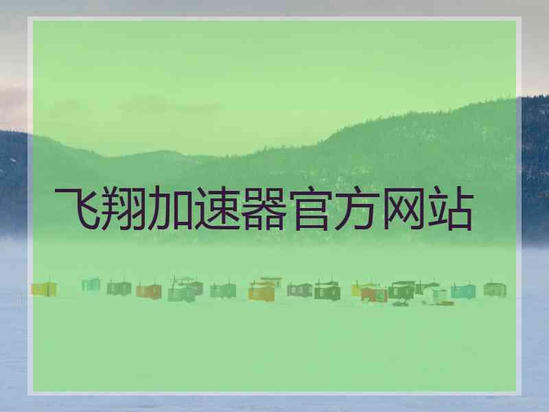 飞翔加速器官方网站