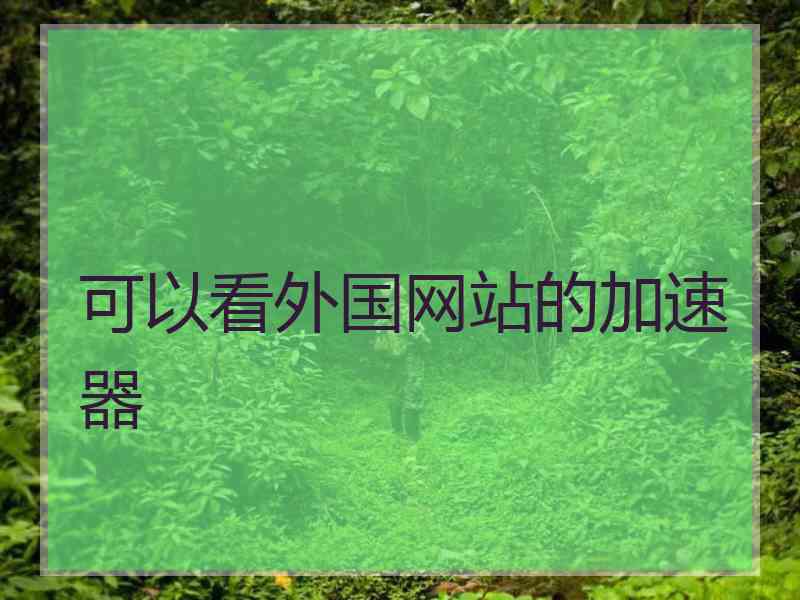 可以看外国网站的加速器