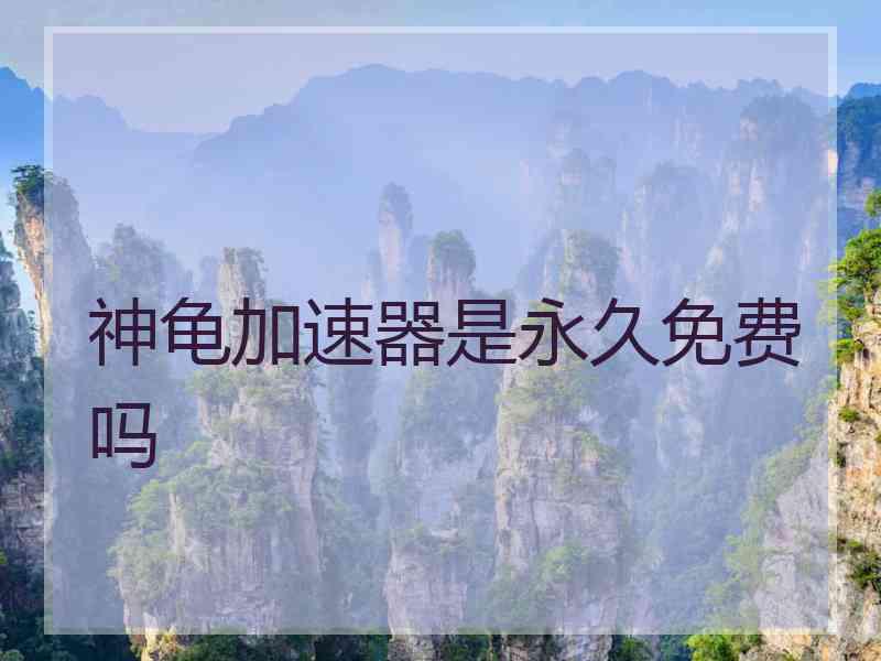 神龟加速器是永久免费吗