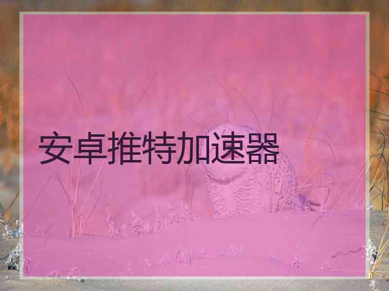 安卓推特加速器