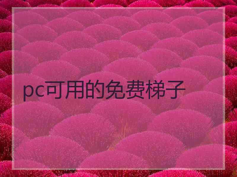 pc可用的免费梯子