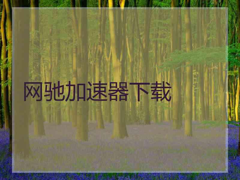 网驰加速器下载