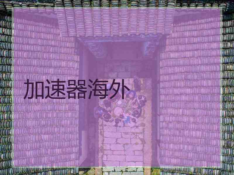 加速器海外