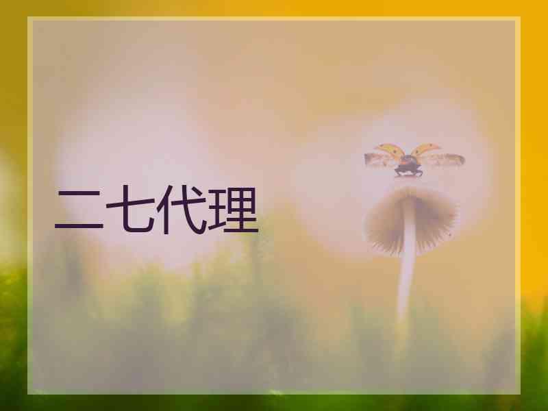 二七代理