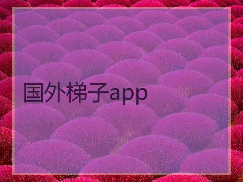 国外梯子app