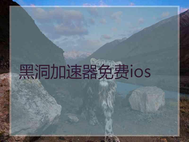 黑洞加速器免费ios