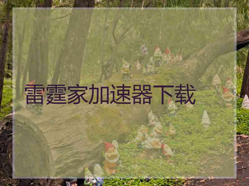 雷霆家加速器下载