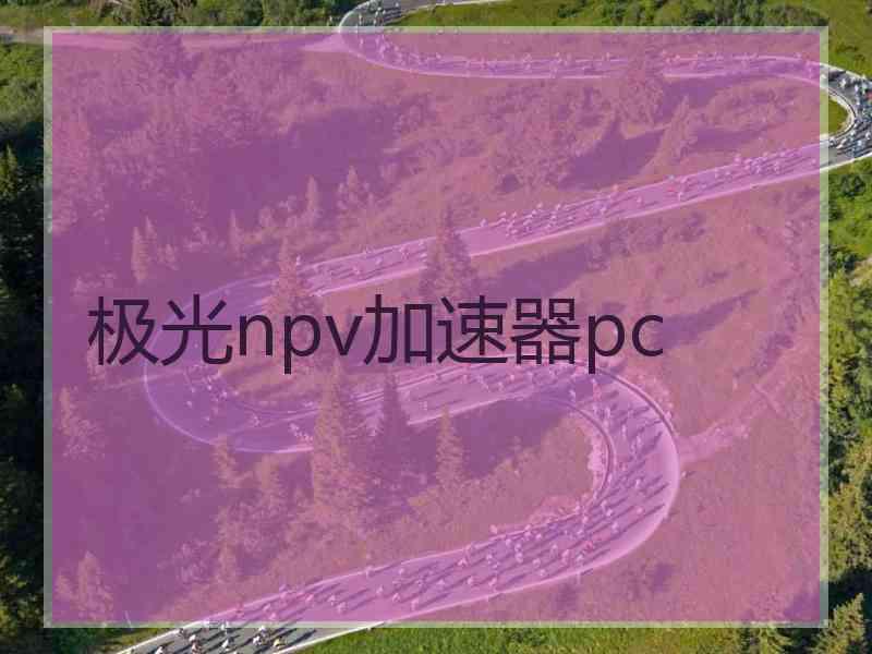 极光npv加速器pc