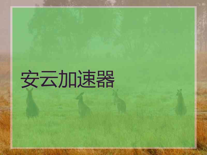 安云加速器