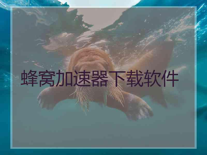 蜂窝加速器下载软件