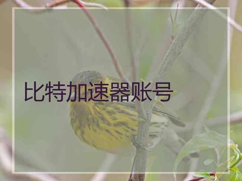 比特加速器账号