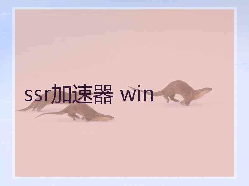 ssr加速器 win