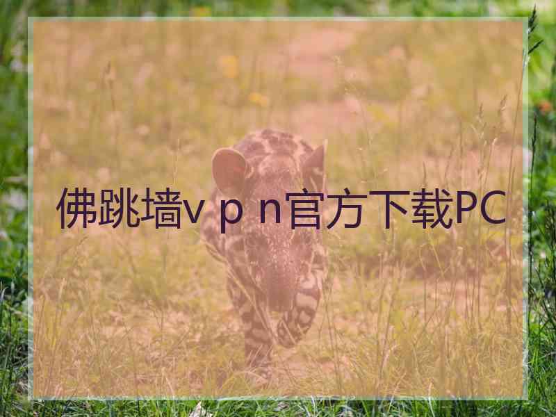 佛跳墙v p n官方下载PC
