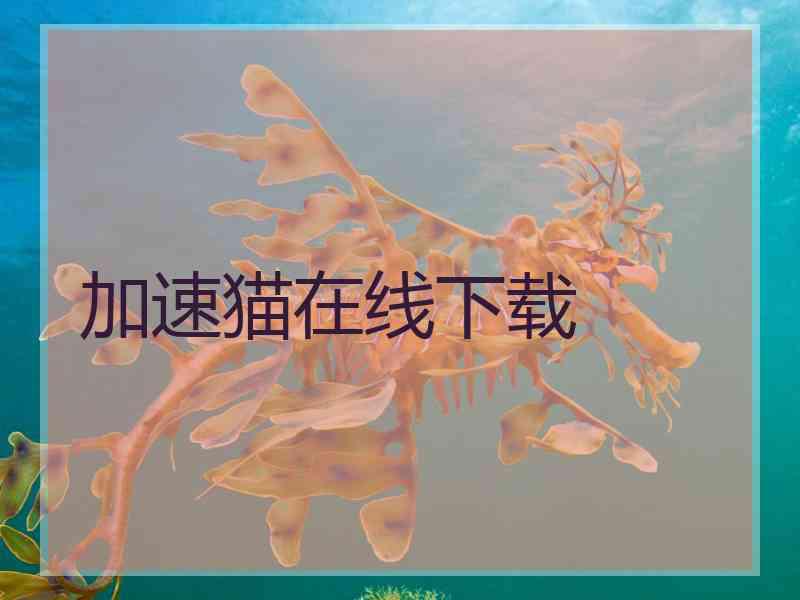 加速猫在线下载