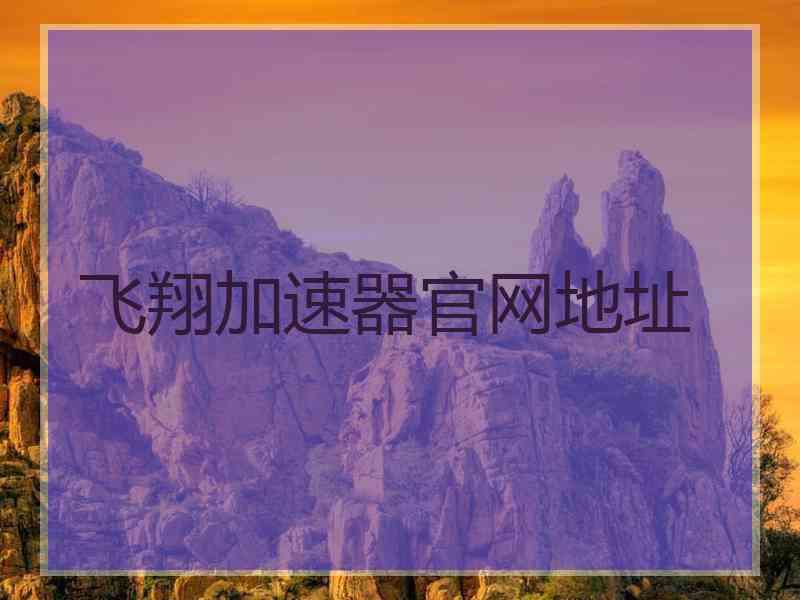 飞翔加速器官网地址