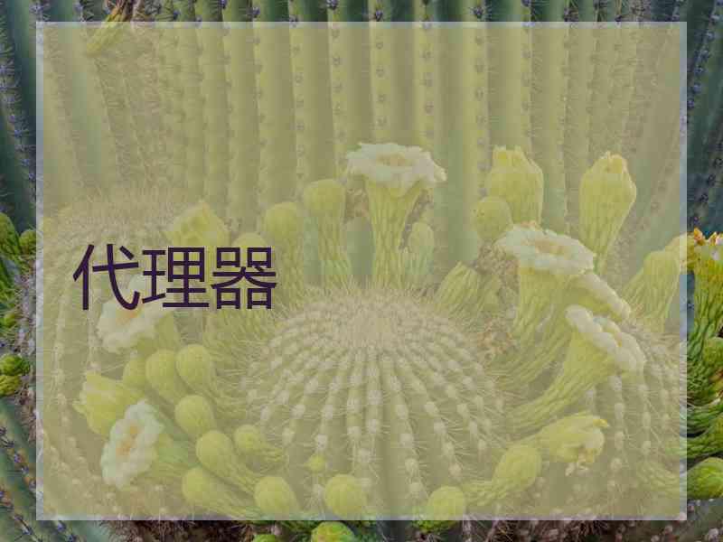 代理器