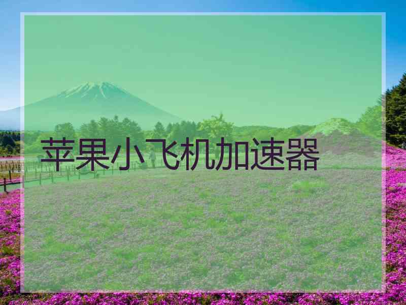 苹果小飞机加速器