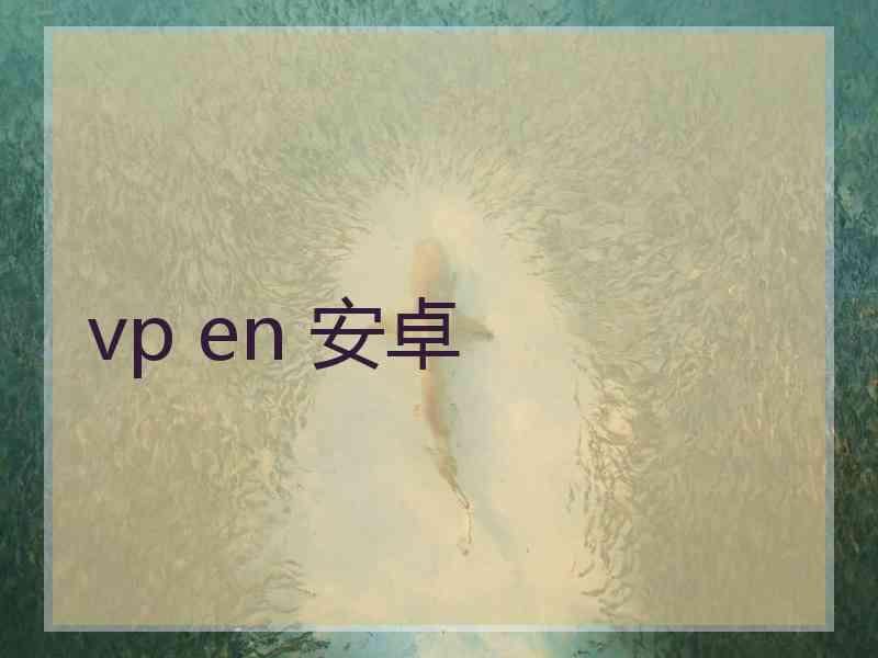 vp en 安卓