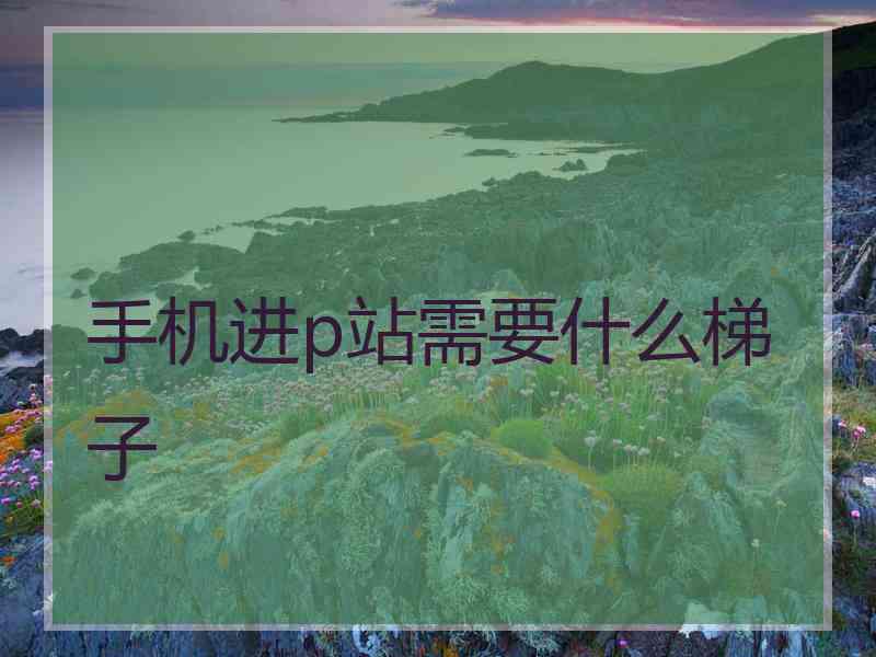 手机进p站需要什么梯子