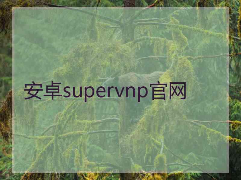安卓supervnp官网