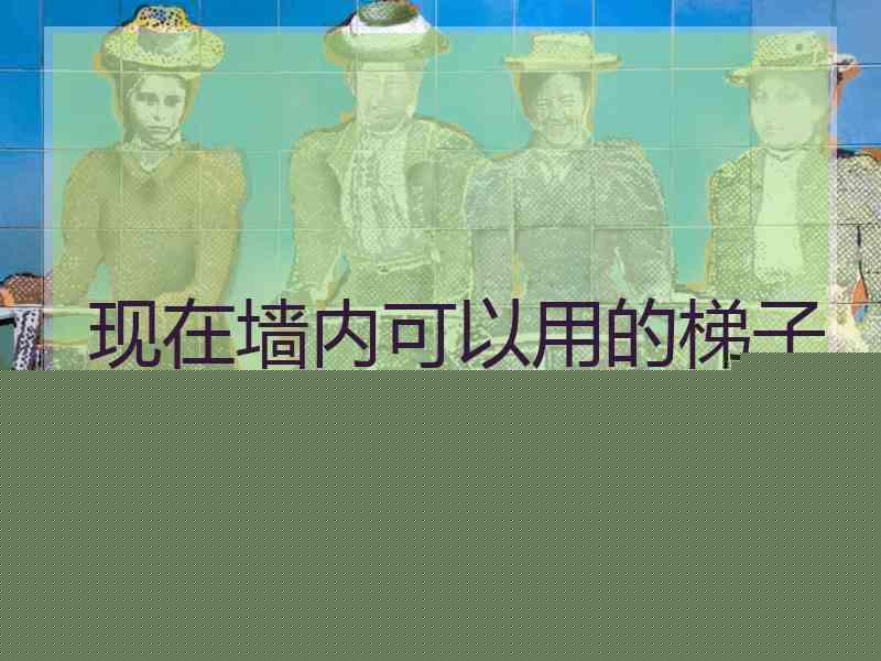 现在墙内可以用的梯子