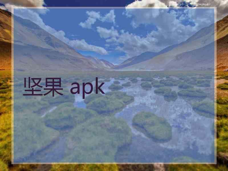 坚果 apk