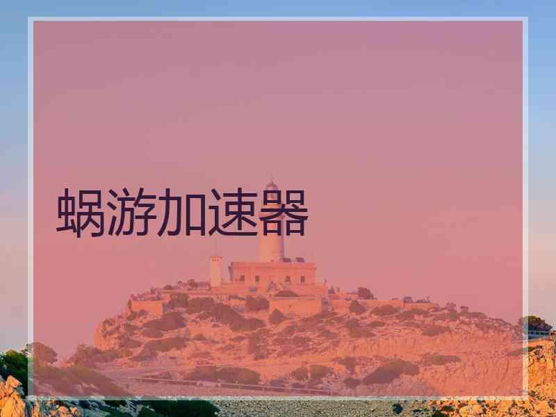 蜗游加速器