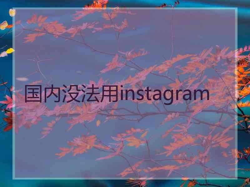 国内没法用instagram