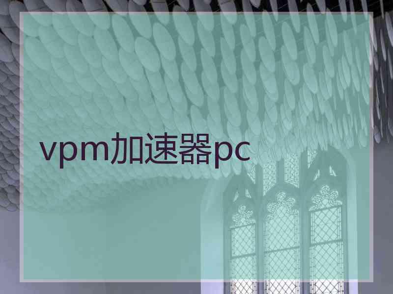 vpm加速器pc