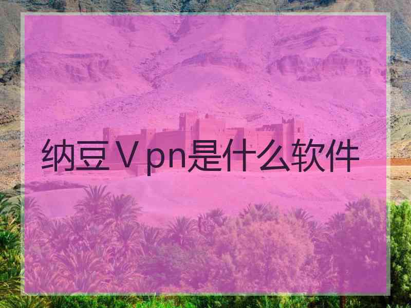 纳豆Ⅴpn是什么软件