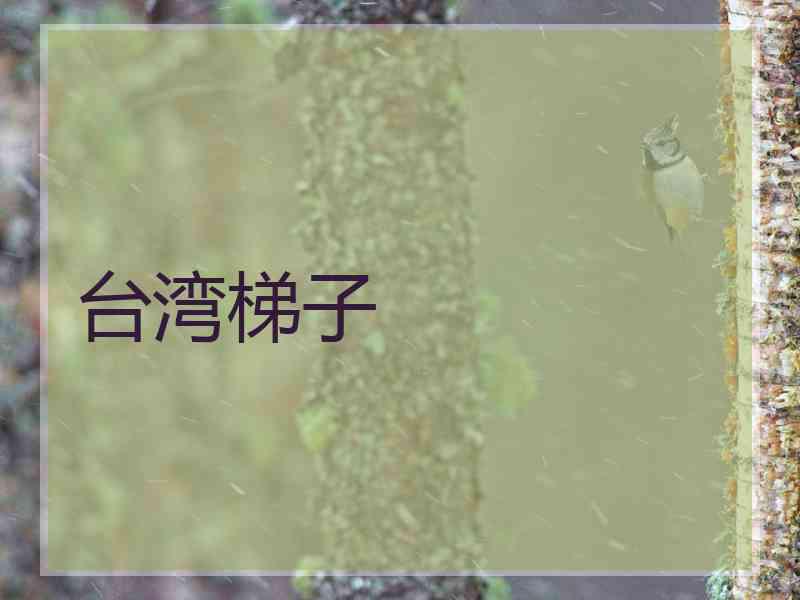 台湾梯子