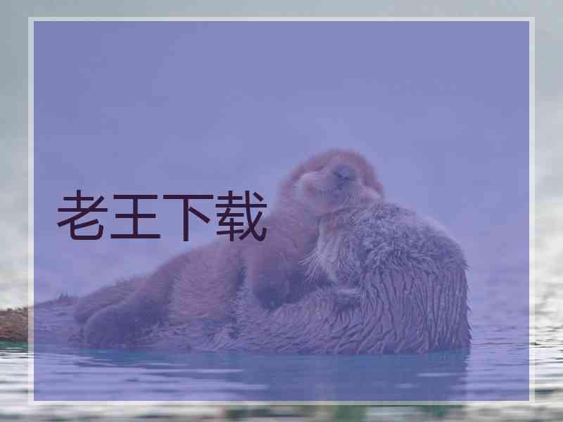 老王下载
